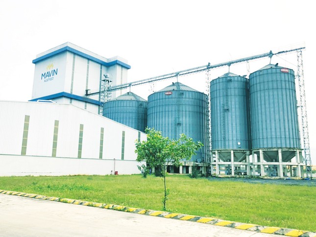 Mavin số hoá dữ liệu nhà cung cấp, nâng tầm quản trị chuỗi cung ứng nông nghiệp ảnh 1