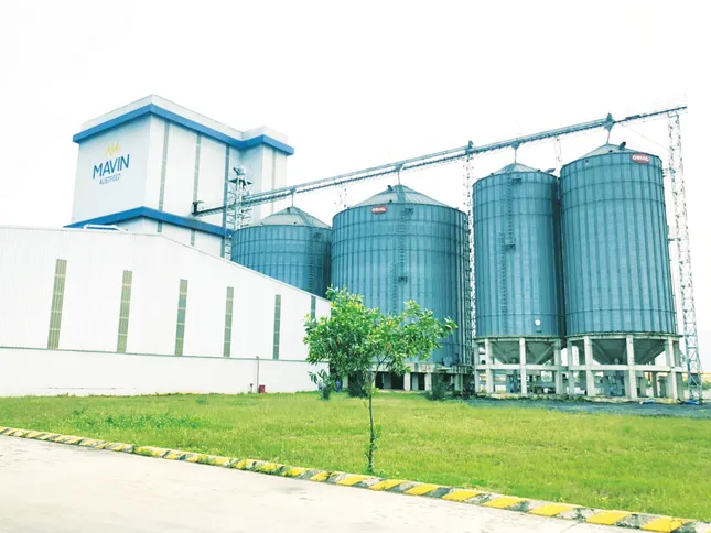 Tập đoàn Mavin tiên phong trong phát triển xanh, minh bạch và có trách nhiệm ảnh 2
