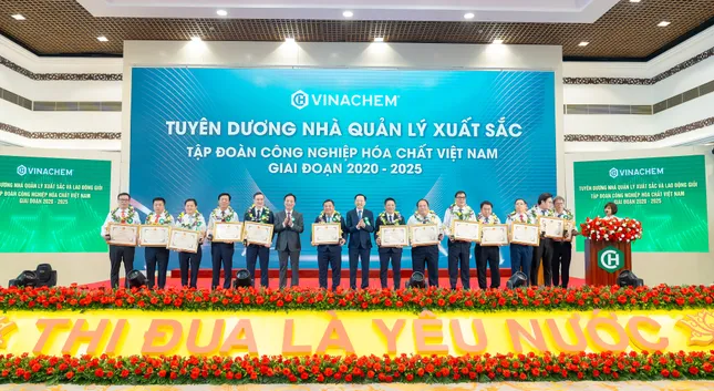 Vinachem vượt qua nhiều năm 'gian nan', đặt mục tiêu tăng trưởng hai con số ảnh 3