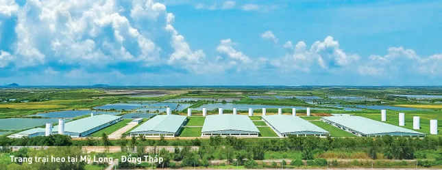 Tập đoàn Mavin tiên phong trong phát triển xanh, minh bạch và có trách nhiệm ảnh 1