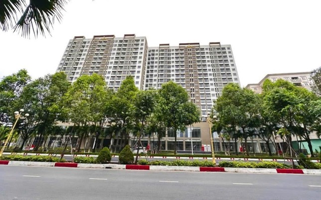 Đề xuất thu hồi căn hộ nhà ở xã hội sai đối tượng ảnh 1