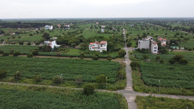 Đồng Nai thu hồi dự án khu dân cư – thương mại gần 6,7 ha của Tập đoàn Bitexco ảnh 1