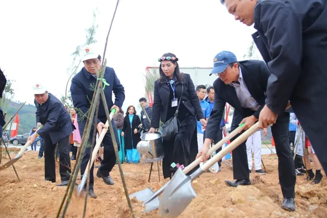 Trồng 11.000 cây chắn sóng tại biển Quảng Ninh ảnh 1