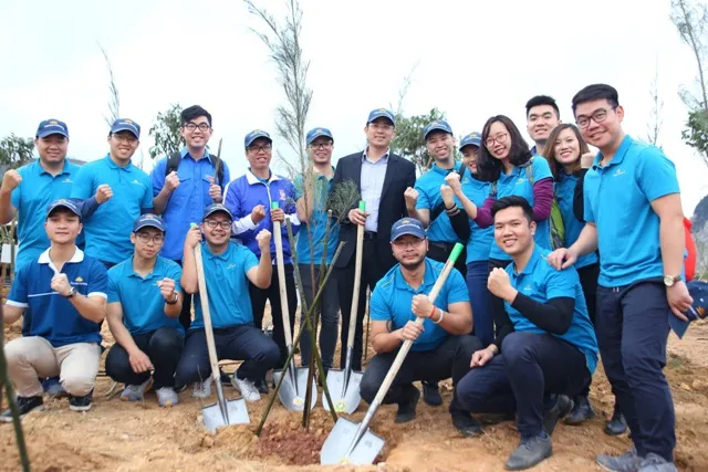 Trồng 11.000 cây chắn sóng tại biển Quảng Ninh ảnh 2