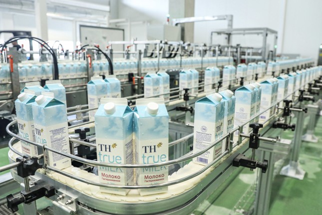Siêu dự án bò sữa của TH true MILK tại Nga chính thức có thành phẩm ra thị trường ảnh 2