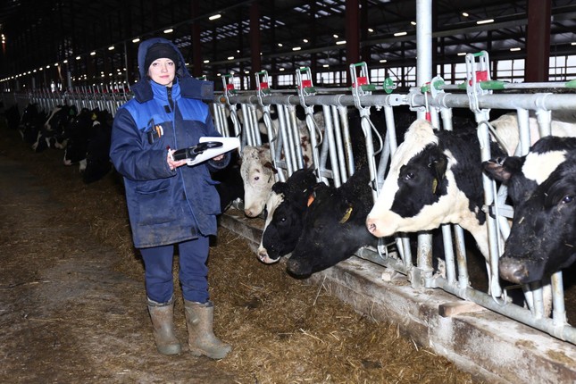 Siêu dự án bò sữa của TH true MILK tại Nga chính thức có thành phẩm ra thị trường ảnh 3