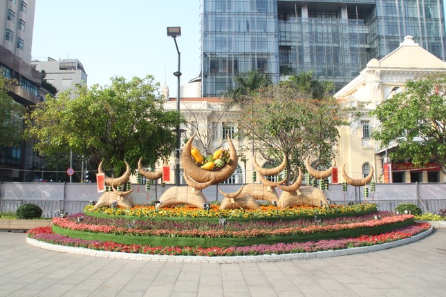 Đường hoa Nguyễn Huệ mở cửa đón khách từ sáng 10/2, yêu cầu không bỏ khẩu trang chụp hình, selfie ảnh 14