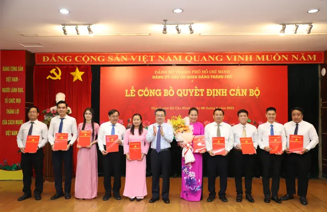 Ông Nguyễn Thanh Nghị làm Bí thư Đảng ủy các cơ quan Đảng TPHCM sau sáp nhập, hợp nhất ảnh 1