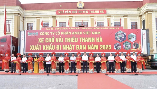 Xuất khẩu lô vải thiều Thanh Hà đầu tiên đi Nhật, Úc ảnh 2