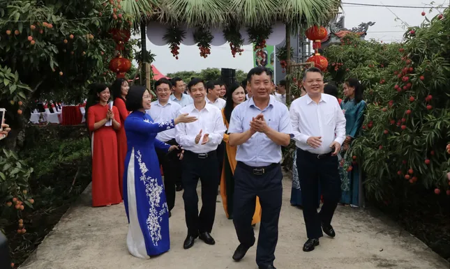 Xuất khẩu lô vải thiều Thanh Hà đầu tiên đi Nhật, Úc ảnh 1
