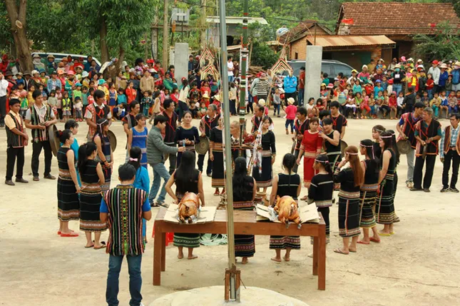 Đặc sắc lễ mừng lúa mới của đồng bào Xê Đăng ảnh 5