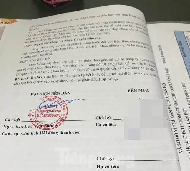 Vụ nhà dân nứt toác: Cao ốc 17 tầng xây sắp xong vẫn chưa nghiệm thu phần móng ảnh 2