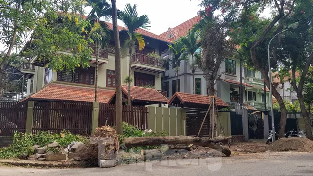 Biệt thự đô thị kiểu mẫu Hà Nội tự chặt cây, lát vỉa hè sai quy hoạch ảnh 3