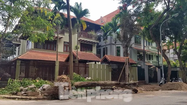 Bán nền 'bãi đất trống' thu trăm triệu, 'ngã ngửa' mua chung cư biến thành Condotel ảnh 3