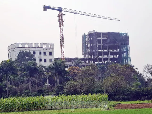 Hà Nội lệnh xử lý công trình ‘khủng’ 9 tầng trên đất trồng cây Đồi Vua ảnh 3