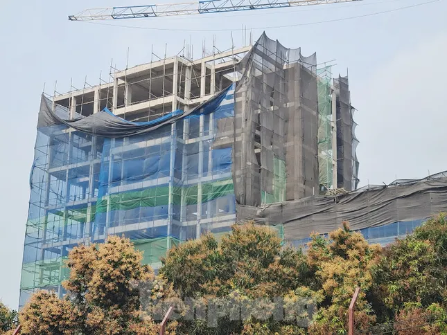 Hà Nội lệnh xử lý công trình ‘khủng’ 9 tầng trên đất trồng cây Đồi Vua ảnh 2
