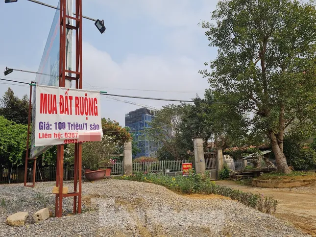 Đủ chiêu trò bán đất rừng, đất ruộng... trong cơn sốt đất quay cuồng ảnh 2