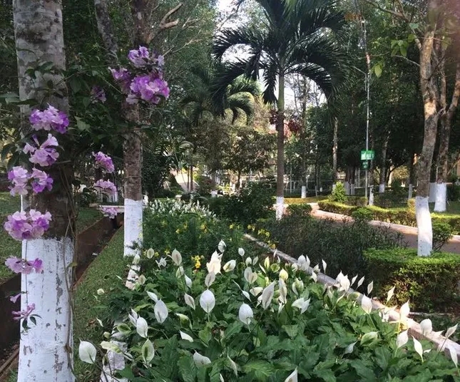 Bên trong học viện bóng đá HA.GL sau ngày thế chấp ngân hàng ảnh 1