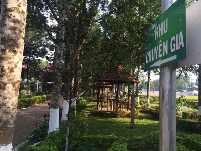 Bên trong học viện bóng đá HA.GL sau ngày thế chấp ngân hàng ảnh 2