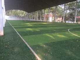 Bên trong học viện bóng đá HA.GL sau ngày thế chấp ngân hàng ảnh 8