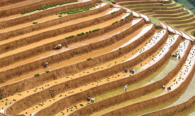 Việt Nam có 4 bức ảnh lọt top những khoảnh khắc ấn tượng nhất thế giới ảnh 4