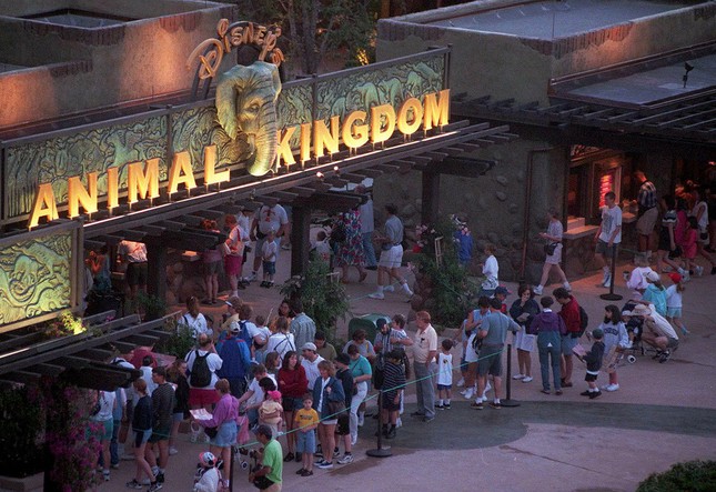 Bị nhắc vì đùa cợt về COVID-19, triệu phú làng nhạc đánh nhân viên Disney nhập viện ảnh 1