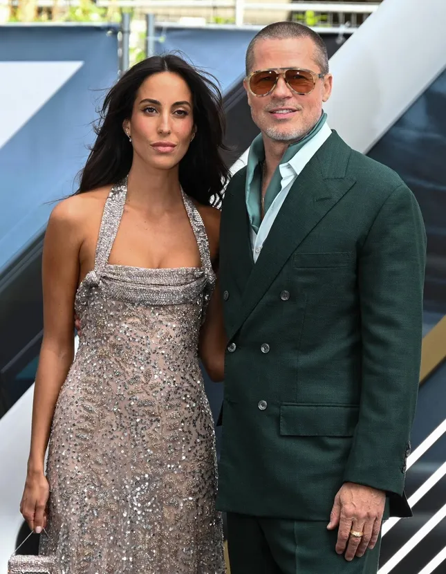 Biệt thự của Brad Pitt bị trộm đột nhập ảnh 3