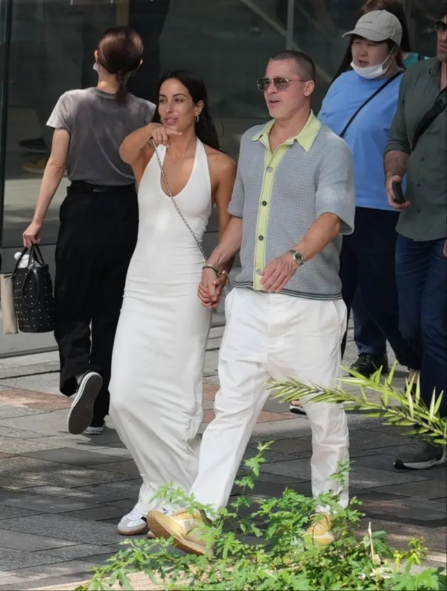 Brad Pitt không muốn kết hôn ảnh 2