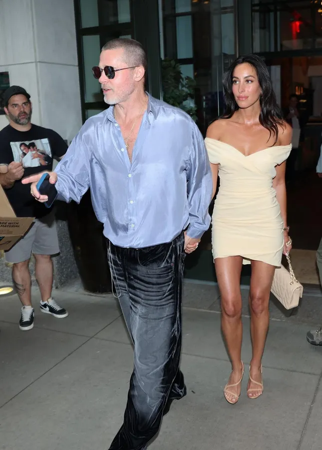 Brad Pitt không muốn kết hôn ảnh 1