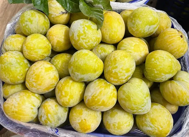 Thêm một loại quả Trung Quốc đổ bộ chợ Việt, giá 450.000 đồng/kg vẫn 'cháy hàng' ảnh 1