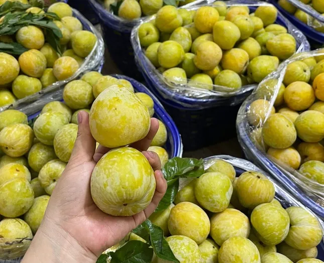 Thêm một loại quả Trung Quốc đổ bộ chợ Việt, giá 450.000 đồng/kg vẫn 'cháy hàng' ảnh 2