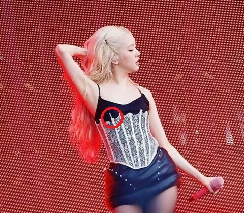 Lisa (BlackPink) bị chê mặc phản cảm ảnh 3