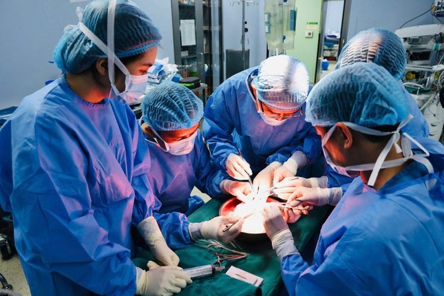 Từ mất mát đến hồi sinh: Hành trình 50 giờ kì diệu của những thầy thuốc quân y ảnh 3