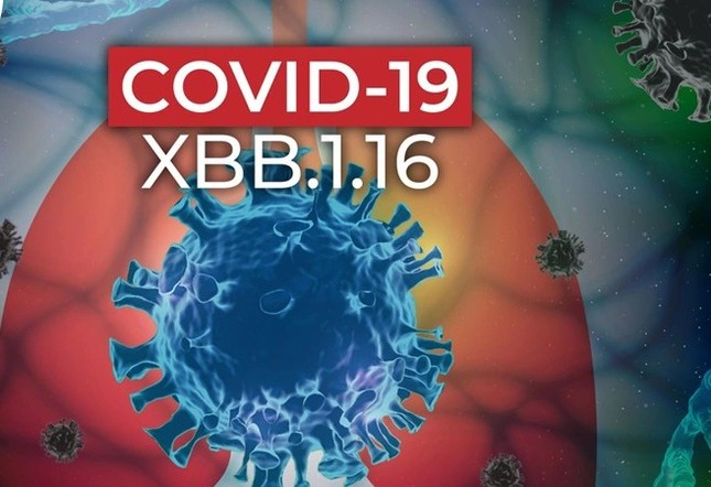 COVID-19 vẫn diễn biến khó lường, Bộ Y tế cảnh báo nguy cơ gia tăng ca mắc ảnh 1