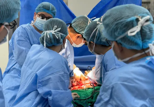 Hồi sinh sự sống từ &apos;món quà cuối cùng&apos; của người xa lạ ảnh 1