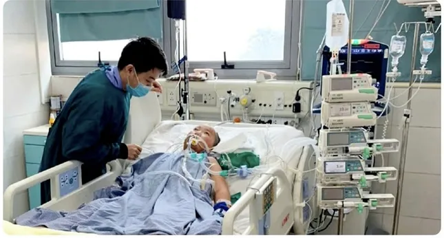 Tái sinh giữa đời thường: Câu chuyện chạm đến trái tim ảnh 2