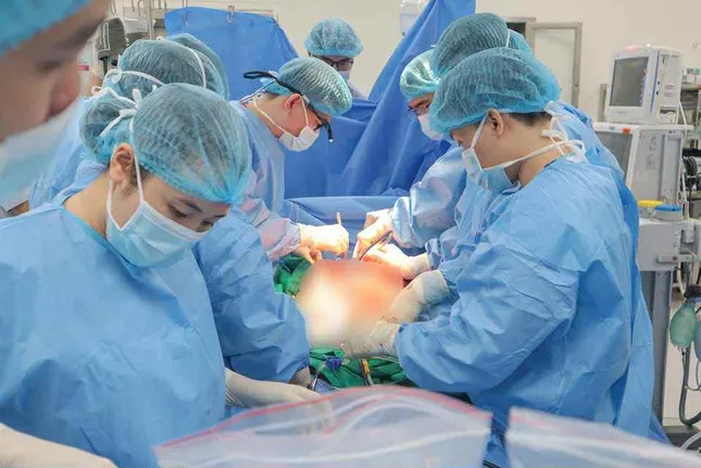 Sự sống tiếp nối từ mất mát: Hồi sinh kì diệu giữa đêm trắng ảnh 1