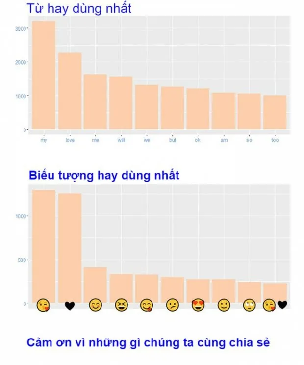 Kỷ niệm 1 năm yêu nhau, cô gái làm bảng thống kê tin nhắn chi tiết đến từng... "emoji" ảnh 4