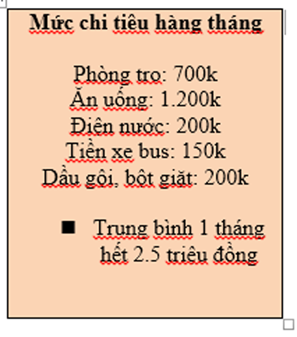Nữ sinh Đại học gây tranh cãi với bảng chi tiêu cá nhân trung bình 5 triệu/ tháng ảnh 2