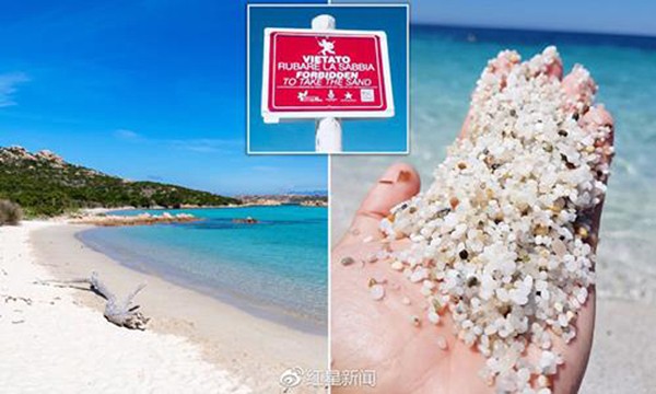 Tin được không, lấy một nhúm cát thôi nhưng bị phạt tới hàng chục triệu đồng ảnh 1