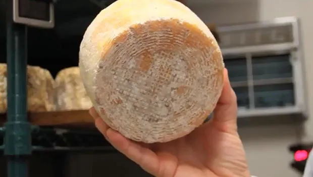 Những câu chuyện thú vị và bí ẩn về chiếc rốn sẽ khiến bạn đi từ ngạc nhiên đến... sợ hãi ảnh 9