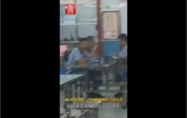 Căng tin trường học khiến sinh viên sốc nặng khi chiếu "phim nhạy cảm" trong giờ ăn trưa ảnh 2