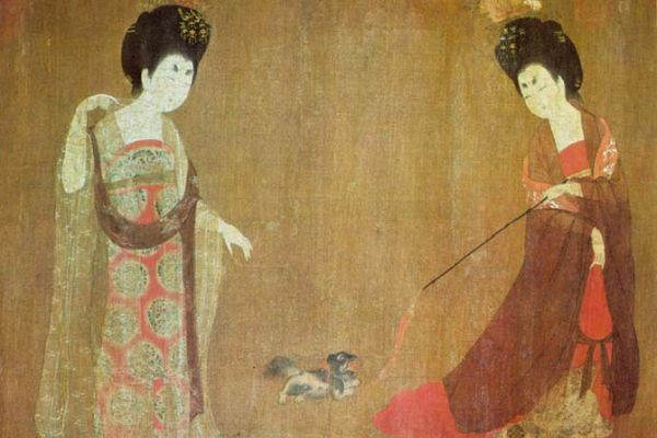 Cuộc sống sung sướng hơn người của những chú chó trong Tử Cấm Thành ảnh 1