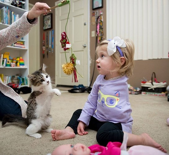 Touching friendship between a disabled girl and a cat in the same situation photo 3