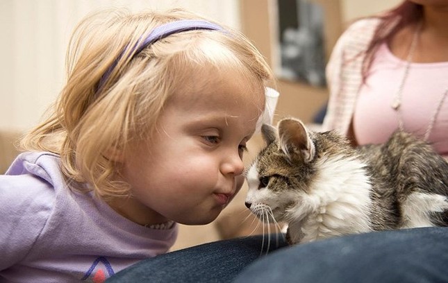 Touching friendship between a disabled girl and a cat in the same situation photo 4