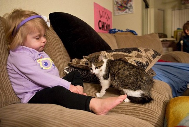 Touching friendship between a disabled girl and a cat in the same situation photo 6