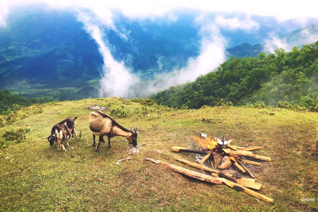 Quên Tà Xùa đi, rủ nhau chinh phục sống lưng khủng long hoang sơ bậc nhất mang tên Bình Liêu ảnh 11