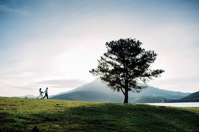 Tuyển tập những "cây cô đơn" nổi tiếng của dân xê dịch khắp mọi miền đất nước ảnh 3