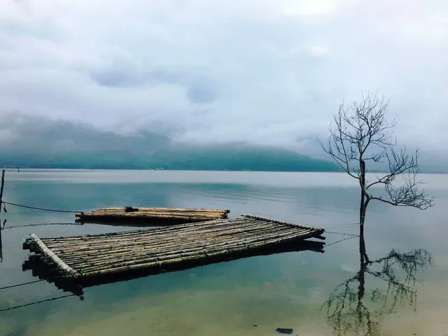 Tuyển tập những "cây cô đơn" nổi tiếng của dân xê dịch khắp mọi miền đất nước ảnh 9