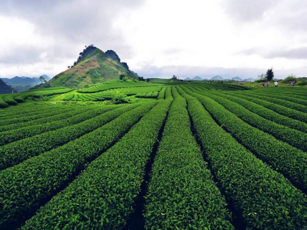 Những điểm đến Tây Bắc đẹp "mơ màng" trong mùa Thu - Đông! ảnh 2